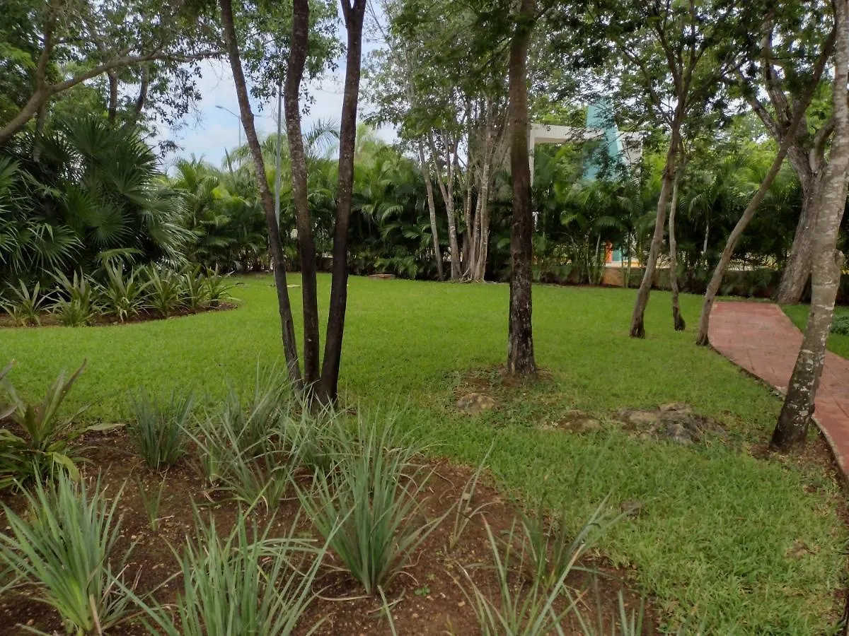 Casa Nueva En Olivos 3, Excelente Ubicacion location